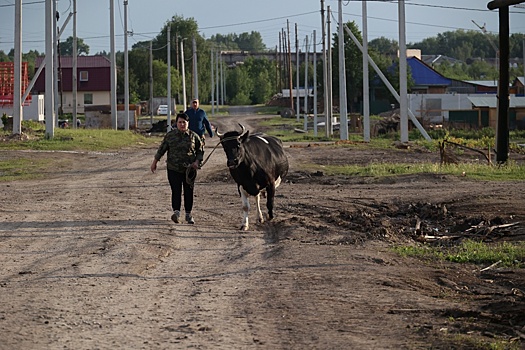 Цифровые профили сел и городов улучшат планирование развития Прикамья