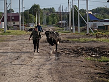 Цифровые профили сел и городов улучшат планирование развития Прикамья