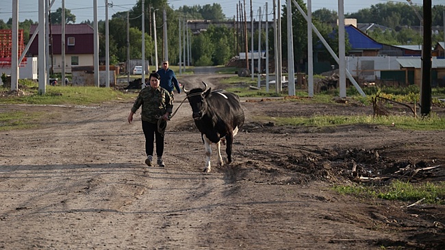 Цифровые профили сел и городов улучшат планирование развития Прикамья