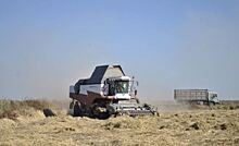 Ростовские аграрии засеяли озимыми 2,8 млн га и вышли на финишную прямую по уборке
