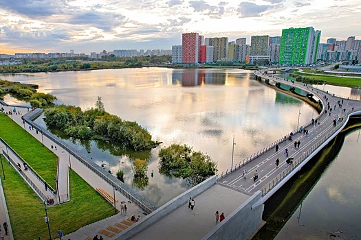 В Москве пешеходный мост через Черное озеро связал Некрасовку и Люберцы