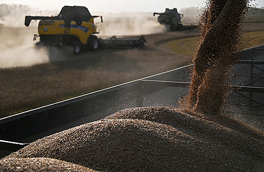 Украина предлагает Польше «ручной» механизм поставок зерна
