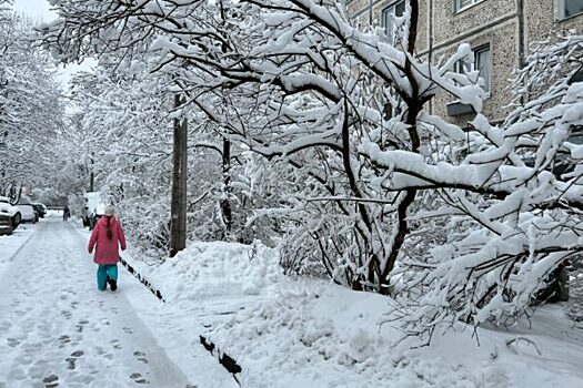 Синоптики сделали прогноз на зиму: она будет холоднее предыдущей