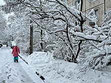 Синоптики сделали прогноз на зиму: она будет холоднее предыдущей