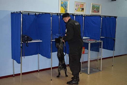 В Костромской области стартовало досрочное голосование