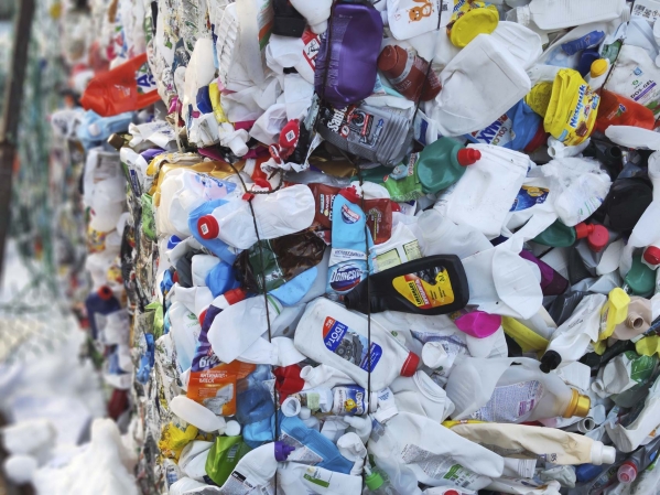 Новгородские ученые получили мегагрант в 500 млн рублей на исследование об опасности пластика