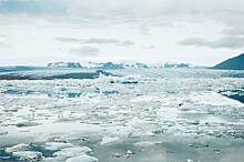 Эксперты: развивать Арктику нужно, сохраняя природу и традиции местных жителей