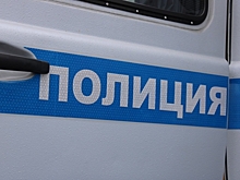 Медведев предложил наградить полицейских за задержание членов этнической ОПГ