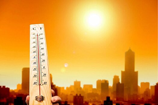 АиФ: Синоптики перечислили страны, которые в этом году столкнутся с запредельной жарой