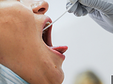 В Госдуме призвали ввести ПЦР-тесты для всех россиян в аэропортах