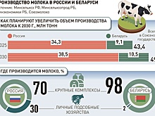 Молочники России и Беларуси обсуждают, как достичь баланса на рынке