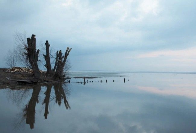 В Рязани в карьере утонул подросток