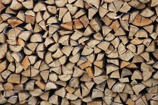 В Челябинской области стартовала благотворительная акция «Подари дрова»