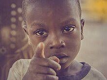 Британские экологи обвинили растущее сельское хозяйство Африки в распространении малярии