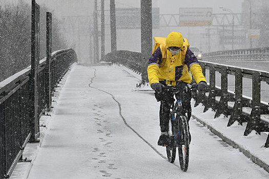 Велокурьер насмерть задавил собаку и напал на женщину