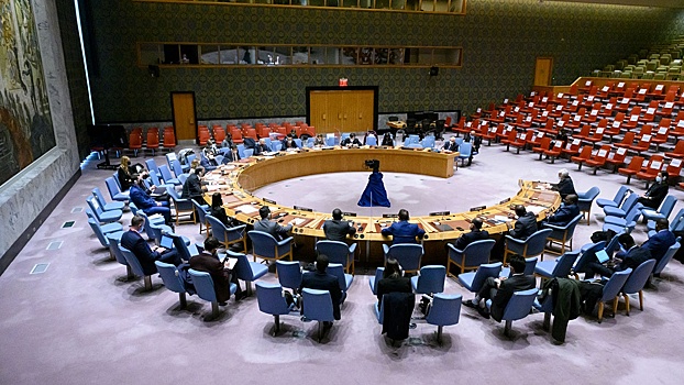 Представители Украины и РФ обменялись строками из стихов в СБ ООН