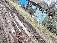 Генпрокуратура добилась ремонта улицы, которую жители мостили кирпичом