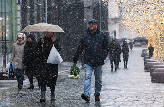В понедельник в Москве будут ледяные дожди и минусовая температура
