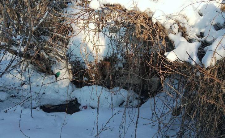 Курянам за сброс сточных вод в ручей грозят штрафы