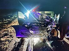 В больнице после столкновения с «Nissan» под Саратовом скончался водитель «Гранты»