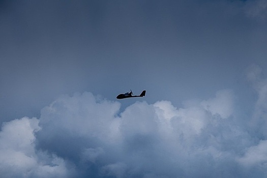 В Германии раскрыли цели сбитых дронов на территории Польши