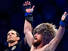 Мераб Двалишвили, чемпион UFC в легчайшем весе, скандалы и конфликты, подрался с болельщиком, Умар Нурмагомедов, Петр Ян