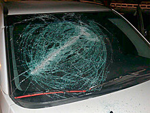 В Удмуртии разбили машину, на которой Алехина и другие активистки приехали к подруге