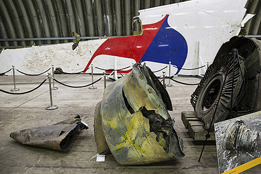 Адвокат оценила показания эксперта "Алмаз-Антея" по делу MH17