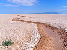 Климатологи спрогнозировали, какими будут «мегазасухи» на планете