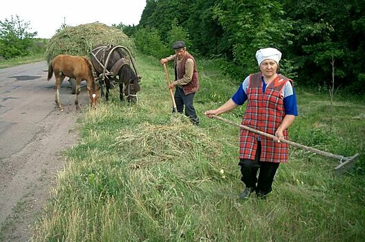 У сел могут появиться свои стратегии развития