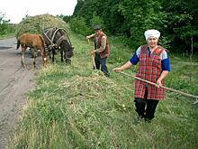 У сел могут появиться свои стратегии развития