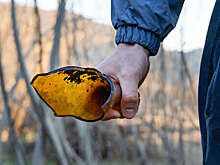 В Карелии мужчина напал на знакомого с ножом и отделался условным сроком