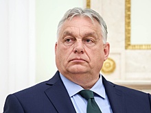 Орбан: Звезды ездили на Украину ради миллионов долларов и евро