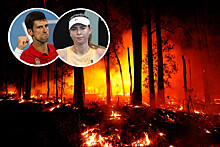 Джокович, Шарапова и другие теннисисты ведут борьбу с пожарами в Австралии