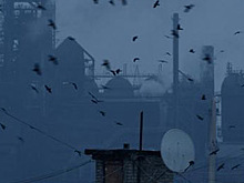 Фильм о возвращении Донбасса Украине будет претендовать на «Оскар»