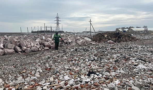 В Волгоградской области завалы мусора нанесли ущерб природе на 140 млн рублей