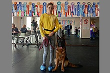 В Новосибирске инвалиды вместе с собаками посещают уроки физкультуры