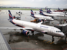 Самолет "Аэрофлота" вернулся в Мурманск из-за чайки