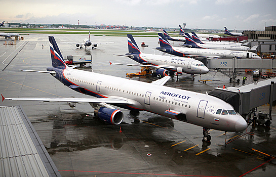 Самолет "Аэрофлота" вернулся в Мурманск из-за чайки