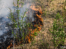 Климатологи заявили о бедствии из-за погодных аномалий в мае
