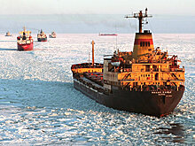 В Японии призвали обратить внимание на потенциал Северного морского пути