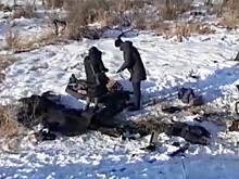 Пять человек погибли в результате ДТП в Приамурье