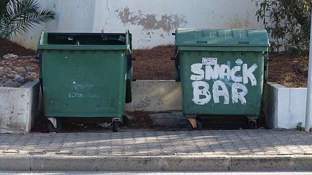 В центре Воронежа у мусорки нашли тело 26-летней девушки