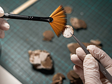 В казахской степи нашли город бронзового века с развитой металлургией