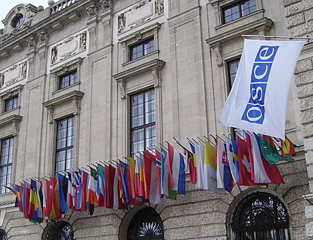 В МИД призвали ОБСЕ оценить действия Киева по отношению к российским журналистам