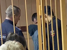 В Ярославле обвиняемому в краже животных из зоопарков по ходатайству следователя избрана мера пресечения в виде заключения под стражу