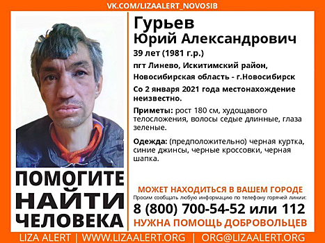 Новосибирец после Нового года до сих пор не вернулся домой