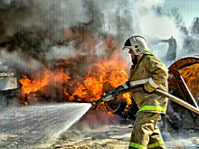 В сгоревшей омской деревне без жилья остались 12 семей