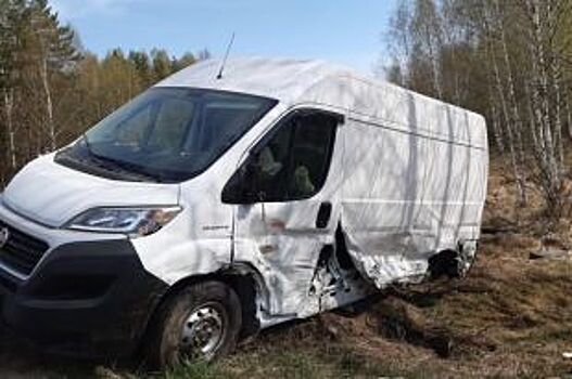 В Клепиковском районе микроавтобус съехал в кювет