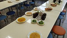 В Пензенской области занизили размер компенсации за питание школьников
